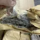 影/英郵寄電腦包藏1.2kg大麻花闖關失敗　警鳴槍壓制逮4嫌
