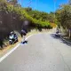 苗栗野貓突襲！騎士閃避不及陷水溝　暖警相救還載去修車