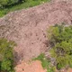 苗栗山坡地遭濫倒1.3萬噸廢棄樹枝　檢起訴12人求重判