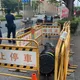 影/不滿禁養令！養殖業者帶河口鱷赴立院抗議　挨罰3千元