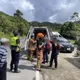 新北坪林7人被蜂螫傷　均意識清楚送醫