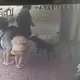 影/母帶3雉女逛三義木雕街　店家黑狗突衝出咬傷2孩