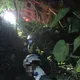 台中豐原騎士為閃流浪貓　墜6米深谷腿扭傷受困