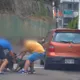 大快人心！比特犬咬傷雪橇犬　竹縣罰肇事犬飼主8.6萬元