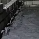 影/直擊花蓮馬太鞍溪新堰塞湖溢流「淹沒便道」　雜木堵涵管