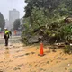 影/危！汐止「康寧街往東湖方向」土石坍塌緊急封閉