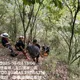 影/八通關古道男墜17層樓深山谷　搜救隊3小時救援