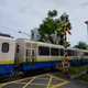 影/阿里山林鐵恐怖視角曝光！婦騎車恍神撞斷平交道柵欄　驚險閃過小火車