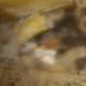 花蓮男高雄租屋虐死3貓1狗　屍體腐爛滲血水、房東崩潰