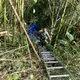影/南投7旬老夫妻開貨車突暴衝 翻3公尺山谷卡竹林
