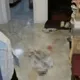 23歲陸女胸口插刀「慘死富二代男友家」!1原因判無罪 家屬崩潰