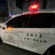 影/高雄男蛇行、逆向撞警車還肇逃　被逮激動道歉仍要罰