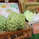 台灣人一年吃1萬噸鳳梨釋迦！台東縣副縣長：陸委會別打擊內銷