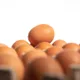 1天吃2顆蛋太危險？研究驚曝：每週12顆「膽固醇竟零變化」！