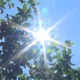 狂飆38度！7縣市高溫特報　5/29鋒面報到轟雷雨
