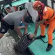 台東金樽漁港漁民不慎落海　海巡緊急救援搶回一命