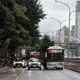 上班時間塞爆！台北基隆路大樹砸中公車　警消火速排除