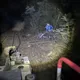 為玩皮克敏不惜搞軌？單車男闖阿里山林鐵　最高罰5萬