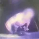 影/花蓮醉男爆衝突遭砍　送醫失控砸救護車、襲警消遭逮