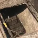 台北真的滿街老鼠？兩派網友吵翻　他嘆：人心髒了