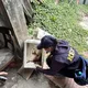 高雄病媒蚊指數攀升！衛生局示警：登革熱擴散風險急升