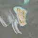 3000桶原油流出？哈格島外現大片油污　伊朗議員：歐油輪排放物