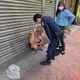 影/酒醉持刀街頭亂揮！路人急報警　苗栗男恐被罰3萬元