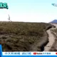影/五角大廈解密UFO檔案全球熱議　「外星人」也曾現蹤台灣嘉明湖