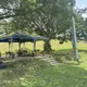 北市貓纜晨運民眾嚇破膽！70歲翁陳屍河堤樹下死因待查