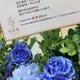 睽違12年！孫燕姿首攻大巨蛋「大咖花籃海」  蕭亞軒感性告白