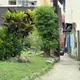 嘉義逆倫案！不滿被唸浪費電　無業男持刀砍母遭收押