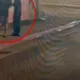 影/顏若芳大同區選舉布條遭塗鴉　警循線逮2嫌送辦