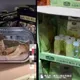 山東美式賣場貨架驚見「雞骨頭與空瓶」　網酸：像在吃自助餐
