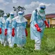 美CDC前主任警告　伊波拉疫情恐成「嚴重全球性流行病」