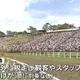 日本福島縣傳統祭典傳意外！馬匹暴衝撞人群釀6傷