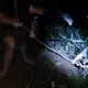 影/新竹山區休旅車滑落邊坡2人墜谷　警即刻救援