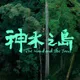 昔票房掛蛋導演哭了!紀錄片《神木之島》神反轉賣贏商業片