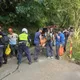 新北三峽山區登山客遭蜂螫　3人受傷警消急救援