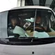 影/板橋貨車駕駛睡著追撞前車　驚醒傻笑對視乘客