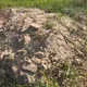 影/花7800萬買地變垃圾場！建商拒買　房仲竟討500萬本票