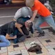影/南投欠債男「戴髮片持刀搶銀樓」！壯漢們蜂擁制伏