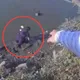 影/新北女河濱公園跌落大漢溪　女警奮不顧身跳水救援