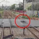 桃園男大字形躺鐵軌　台鐵雙向列車延誤