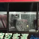 高雄左營公車玻璃突爆裂　警方採證追查疑遭石頭擊破