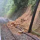 樹倒阻鐵路！集集線「濁水＝集集」一度中斷　台鐵：已恢復行車