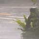 午後雨彈強襲！新北市府發警訊　慎防溪水暴漲、低窪淹水