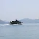 日瀨戶內海海域發現2條「海底活斷層」　恐引發規模7以上地震