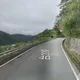 南橫利稻段騎士倒車摔落30米深谷　搜救中