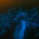 端午國旅開紅盤！　連江縣「藍眼淚吸客」訂房率破8成奪冠