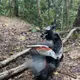 六龜驚見斷頭女屍遭野獸啃食　身分疑失蹤近月台南女